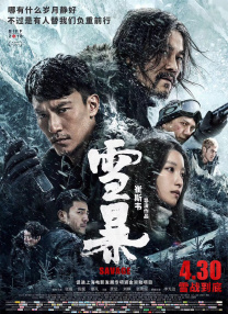 饥饿的业余阿姨